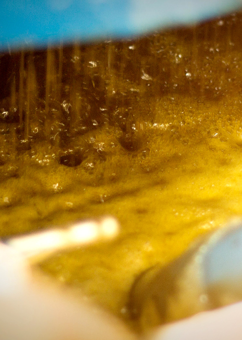 油籽制备工艺