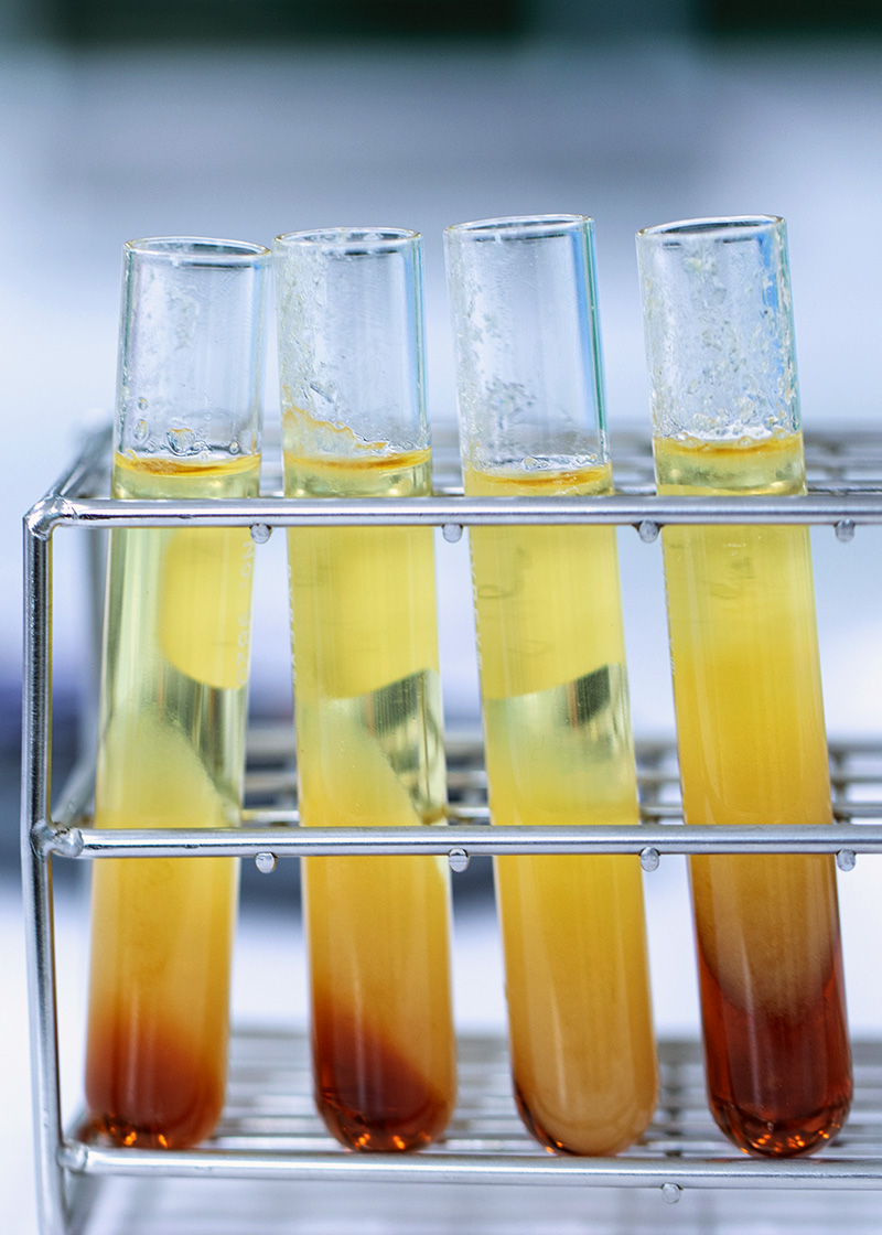 生物柴油预处理工艺