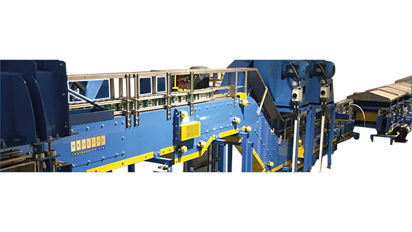Inspection Conveyors 图像