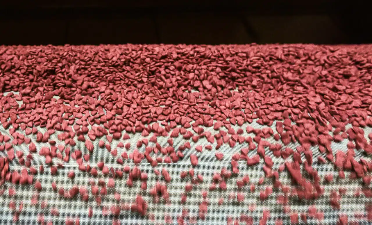 pet food conveyor belt