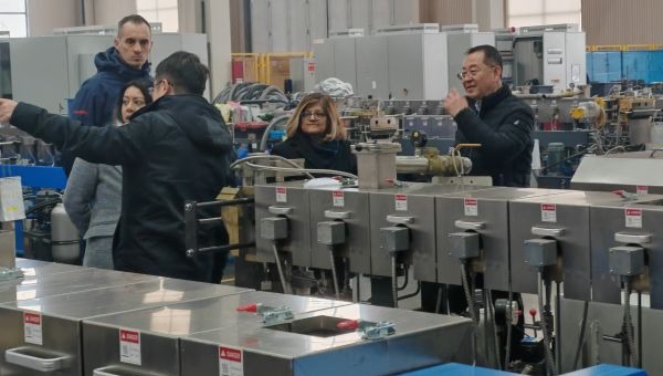 随机获胜者 6